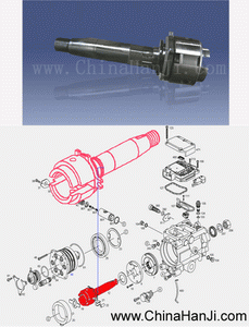 Perno del ciguenal aveo